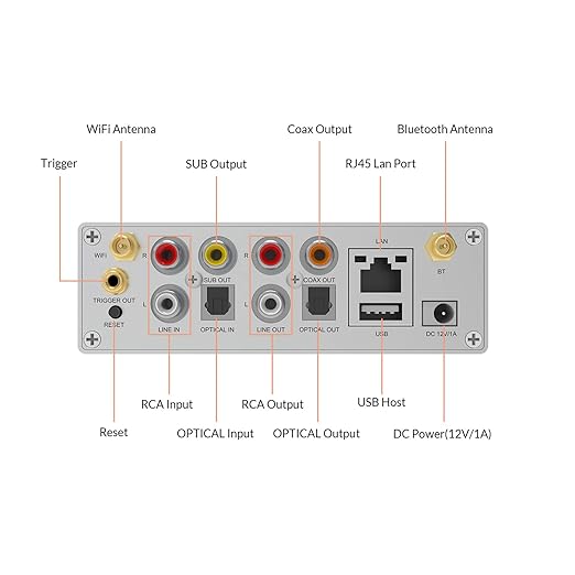 Arylic Up2stream S50 Pro+, WiFi & Bluetooth 5.0 Audio přijímač, aptX