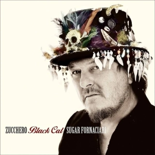 cd zucchero black cat album